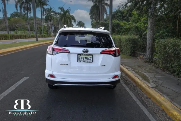 Toyota Rav4 2019 (1)