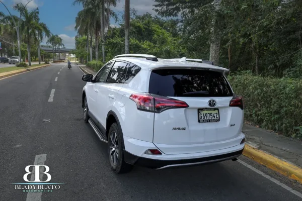 Toyota Rav4 2019 (2)
