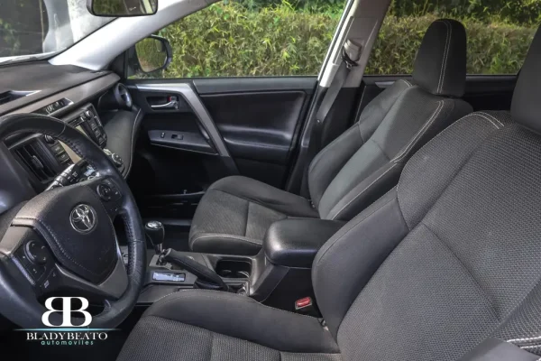 Toyota Rav4 2019 (4)